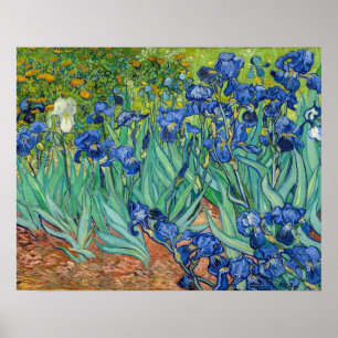 Vincent Van Gogh - Irises Poster