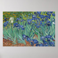 Vincent van Gogh - Irises