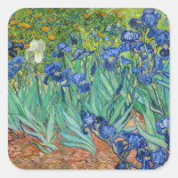 Vincent Van Gogh - Irises
