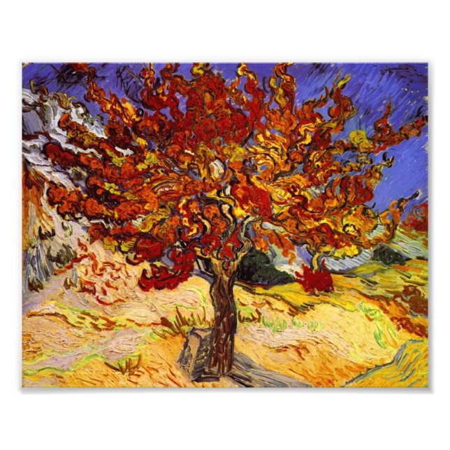 Vincent Van Gogh Mulberry Tree Fine Art Painting Photo Print (Front)
