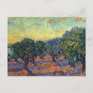 Vincent Van Gogh Olive Grove Impressionism Art Postcard