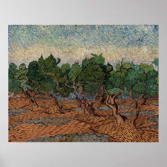 Vincent van Gogh - Olive Grove Poster (Front)