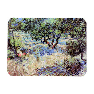 Vincent Van Gogh - Olive Orchard Fine Art Magnet