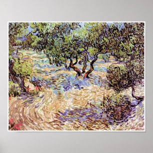 Vincent Van Gogh - Olive Orchard Fine Art Poster