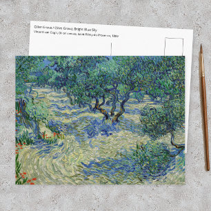 Vincent van Gogh - Olive Orchard Postcard