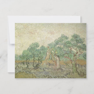 Vincent van Gogh - Olive Picking