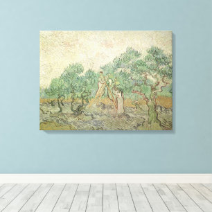 Vincent van Gogh - Olive Picking Canvas Print