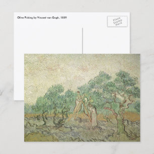 Vincent van Gogh - Olive Picking Postcard