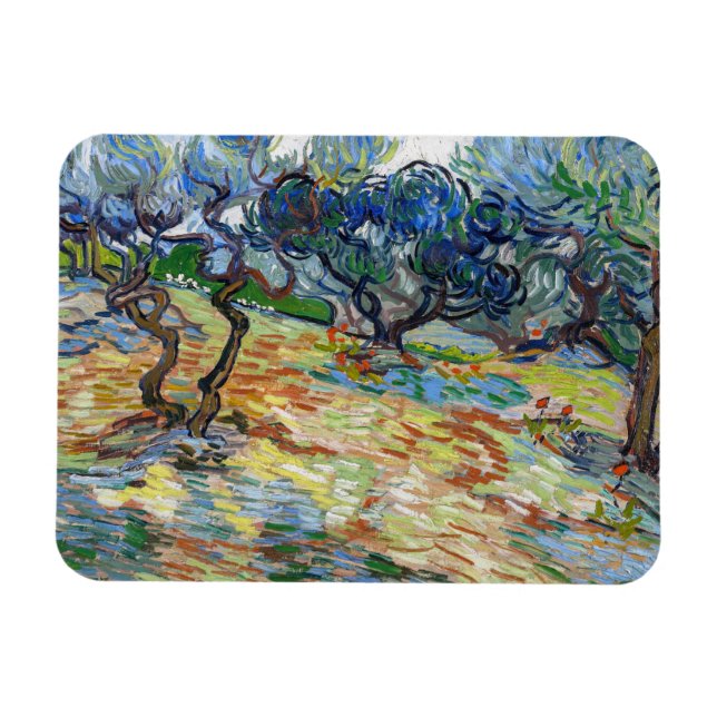 Vincent van Gogh - Olive Trees: Bright blue sky Magnet (Horizontal)