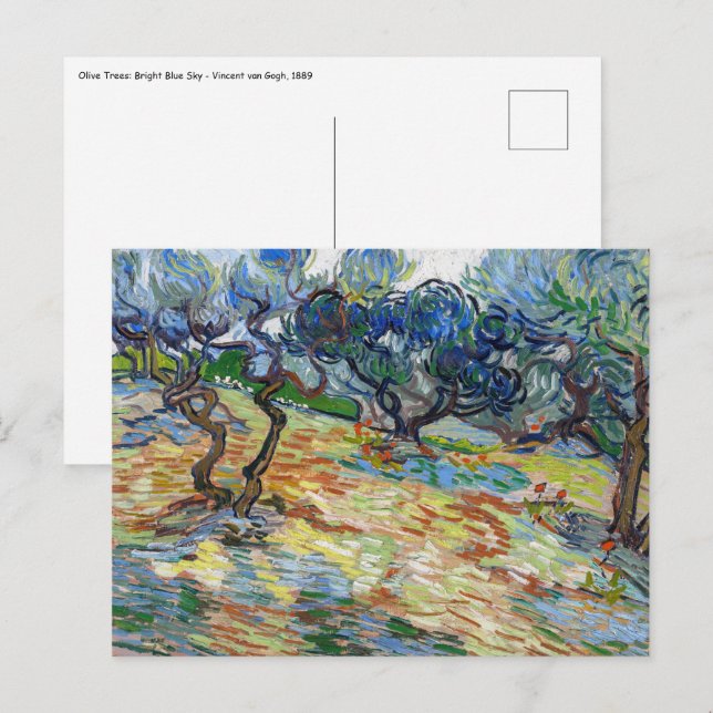 Vincent van Gogh - Olive Trees: Bright blue sky Postcard (Front/Back)