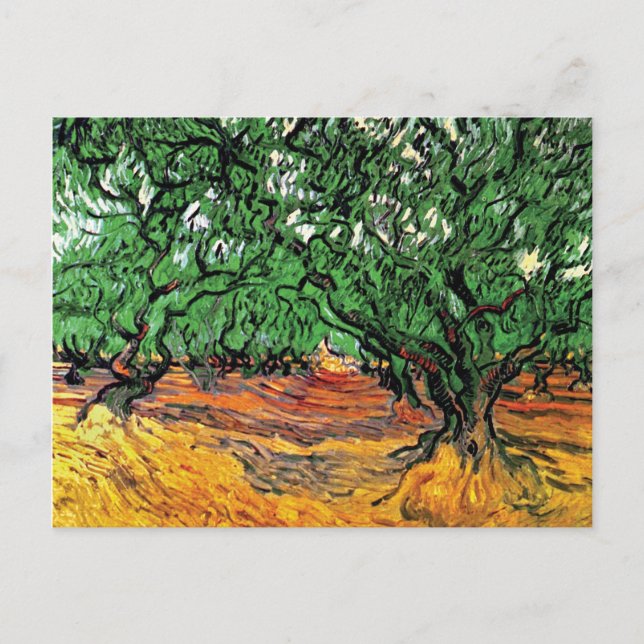 Vincent Van Gogh - Olive Trees Fine Art Postcard (Front)