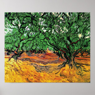 Vincent Van Gogh - Olive Trees Fine Art Poster