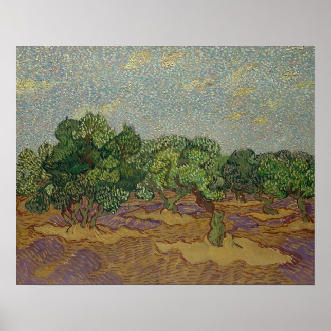 Vincent van Gogh - Olive Trees Poster (Front)