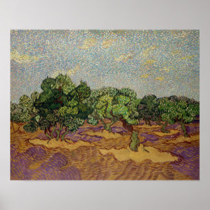 Vincent van Gogh - Olive Trees Poster