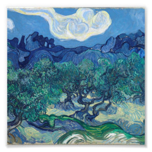 Vincent Van Gogh - Olive Trees with the Alpilles Photo Print