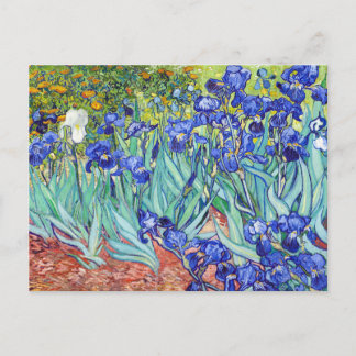 Vincent Van Gogh painting Irises Postcard