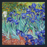 Vincent Van Gogh painting Irises Poster<br><div class="desc">Irises is one of several paintings of irises by the Dutch artist Vincent van Gogh (1889). The painting is one of his most renowned works.</div>
