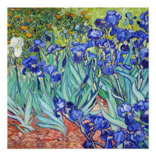 Vincent Van Gogh painting Irises Poster