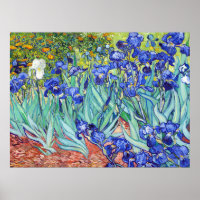 Vincent Van Gogh painting Irises