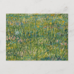 Vincent van Gogh - Patch of grass Postcard