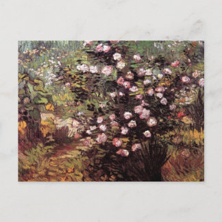 Vincent Van Gogh - Rosebush In Blossom Fine Art Postcard