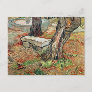 Vincent van Gogh The Bench at Saint-Remy Postcard