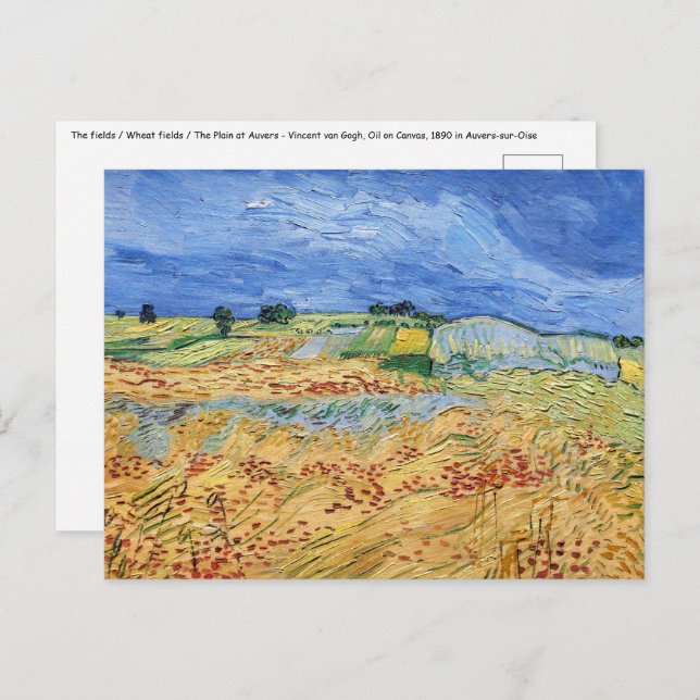 Vincent van Gogh - The fields / Plain at Auvers Postcard (Front/Back)