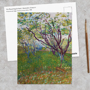 Vincent van Gogh - The Flowering Orchard Postcard