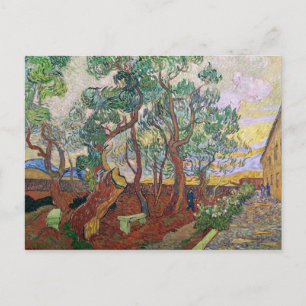 Vincent van Gogh   The Garden of St. Paul Hospital Postcard