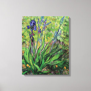 Vincent Van Gogh - The Iris Nature Lover Fine Art Canvas Print