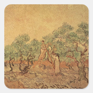 Vincent van Gogh   The Olive Grove, 1889 Square Sticker