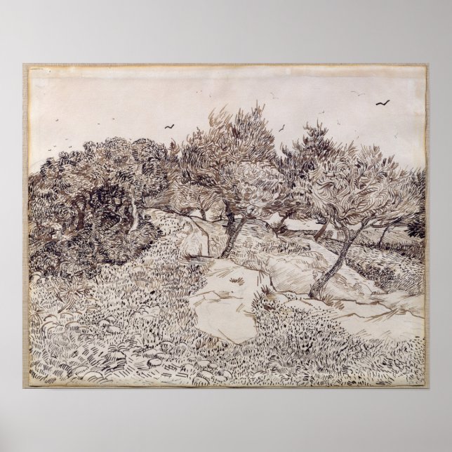 Vincent van Gogh | The Olive Trees Poster (Front)