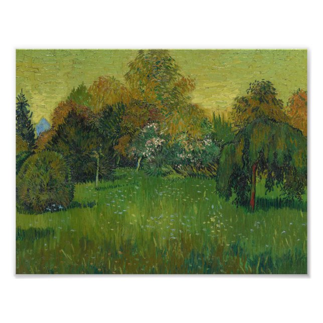 Vincent van Gogh - The Poet's Garden Photo Print (Front)