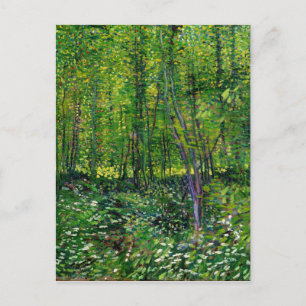 Vincent Van Gogh Trees And Undergrowth Postcard
