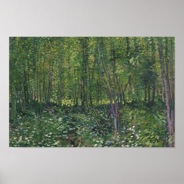Vincent van Gogh - Trees and Undergrowth Poster (Front)