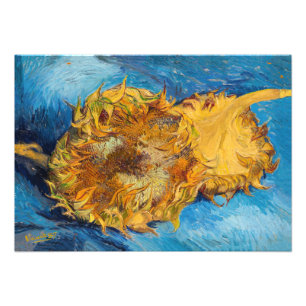 Vincent van Gogh - Two Cut Sunflowers Photo Print