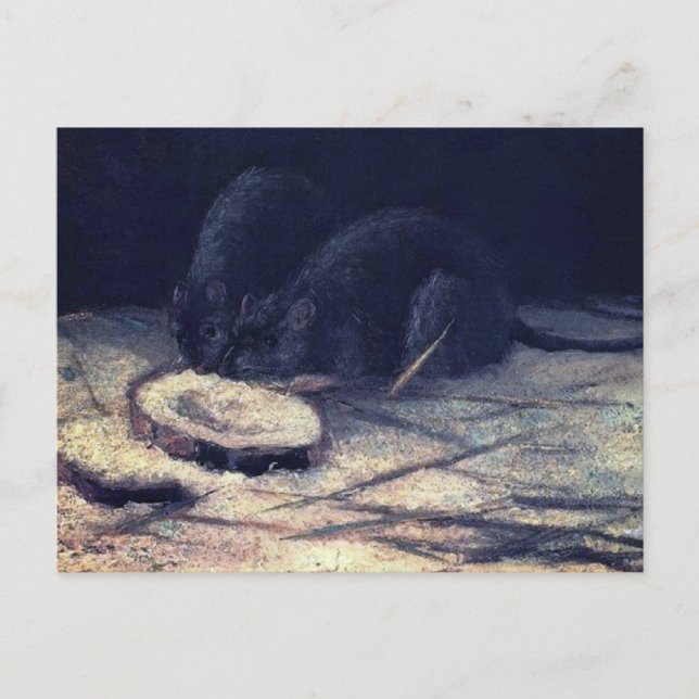 Vincent Van Gogh - Two Rats - Rat Lover Fine Art Postcard (Front)