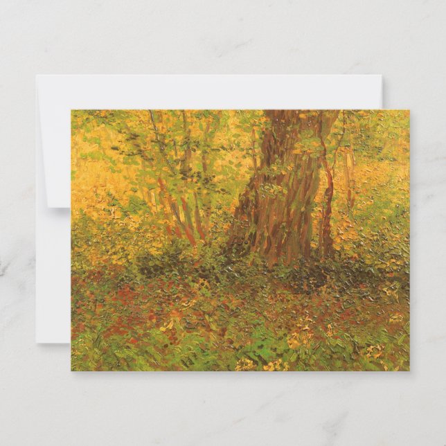 Vincent van Gogh - Undergrowth (Front)