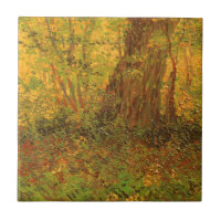 Vincent van Gogh - Undergrowth