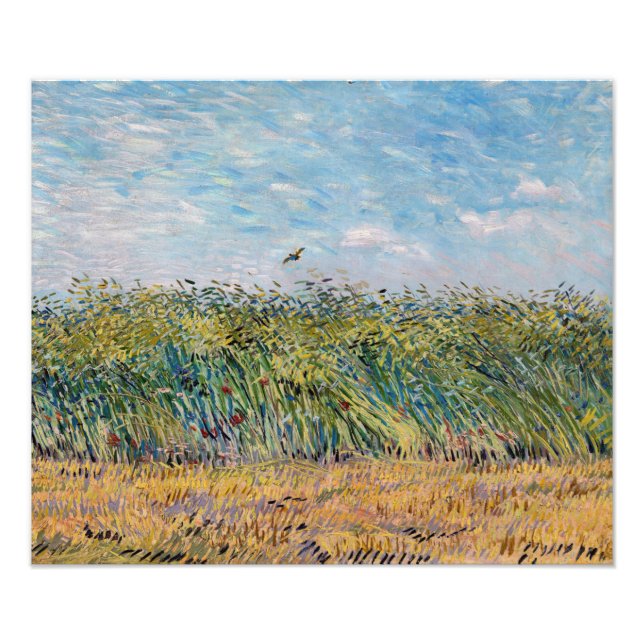 Vincent van Gogh - Wheat Field with a Lark Photo Print (Front)