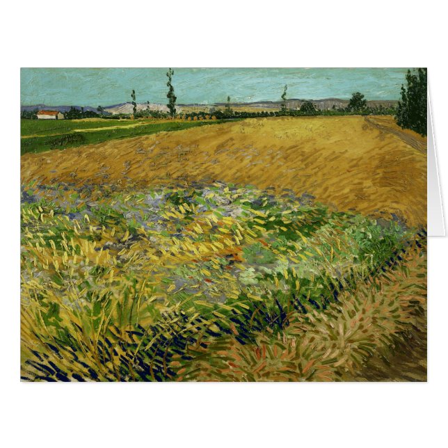 Vincent Van Gogh, Wheatfield, Korenveld (Devant horizontal)