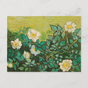Vincent Van Gogh Wild Roses Fine Art Postcard