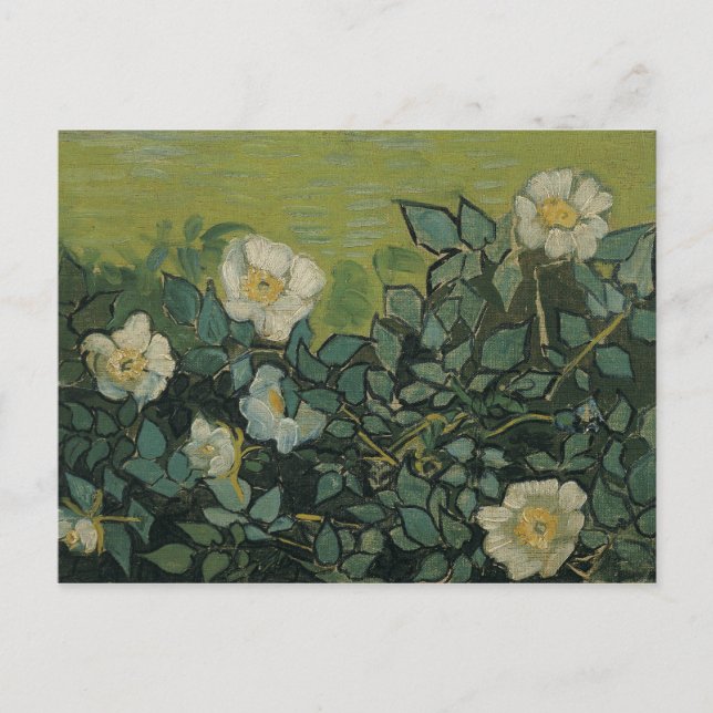 Vincent van Gogh - Wild Roses Postcard (Front)