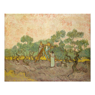 Vincent van Gogh - Women Picking Olives Photo Print