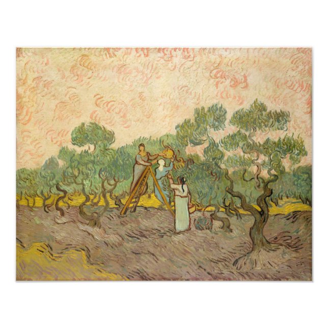Vincent van Gogh - Women Picking Olives Photo Print (Front)