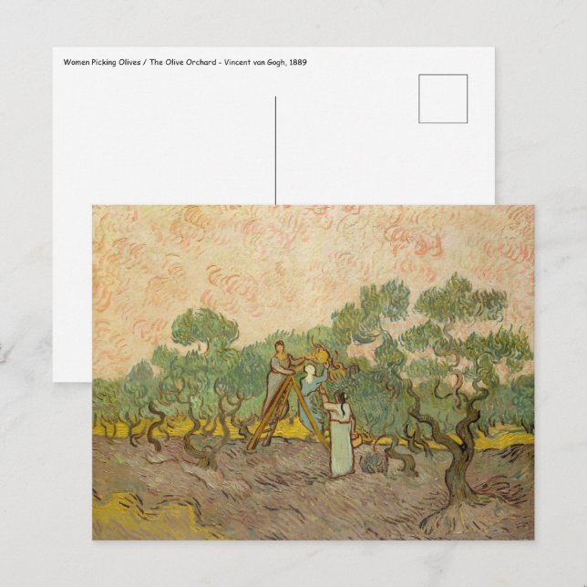 Vincent van Gogh - Women Picking Olives Postcard (Front/Back)