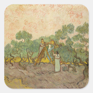 Vincent van Gogh - Women Picking Olives Square Sticker