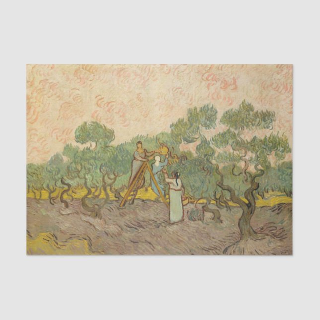 Vincent van Gogh - Women Picking Olives Tissue Paper (Front)