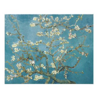 Vincent van Gogh's Almond blossom (1890) Photo Print
