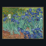 Vincent Van Gogh's Irises. Poster<br><div class="desc">"Irises" is one of a series of paintings,  which Vincent Van Gogh produced,  while in the asylum of Saint Paul-de-Mausole asylum,  in Saint-Rémy-de-Provence,  France,  in the last prior to his death in 1890.
 It is now housed in the J. Paul Getty Musuem,  Los Angeles,  United States.</div>